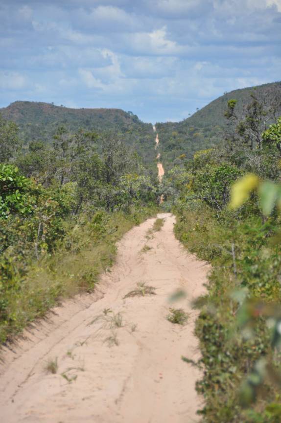 A estreita e longa estrada de areia corta o cerrado no sul do Maranhão, região de Alto Parnaíba - MA